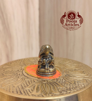 Miniature Brass Tortoise Statue 0.9 Inch Pooja Articles